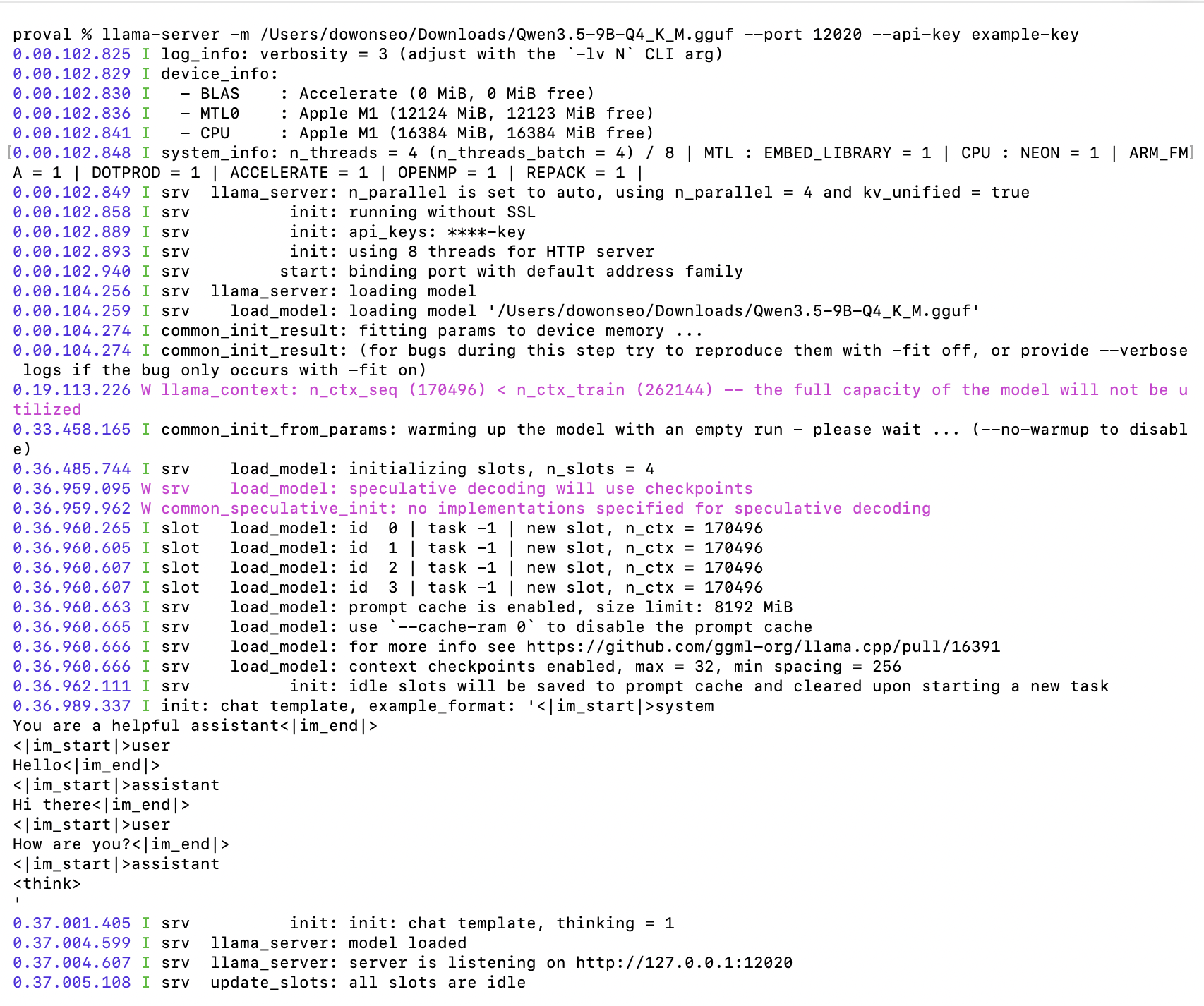 llama.cpp server running in a terminal